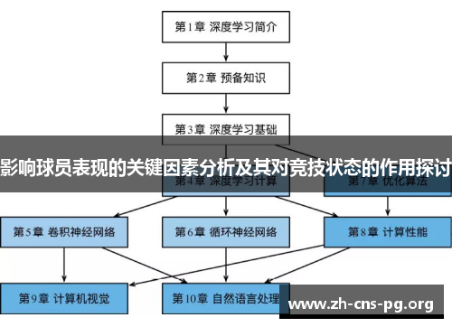 影响球员表现的关键因素分析及其对竞技状态的作用探讨