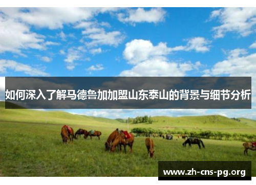 如何深入了解马德鲁加加盟山东泰山的背景与细节分析