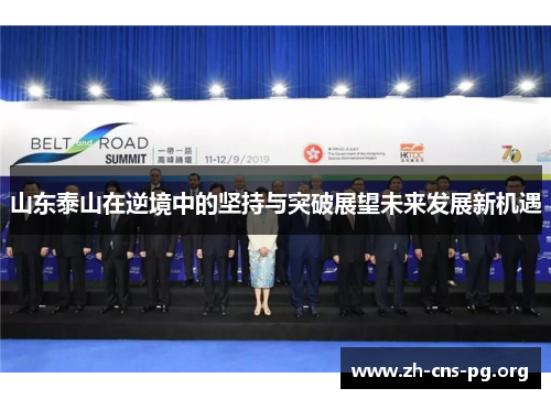 山东泰山在逆境中的坚持与突破展望未来发展新机遇