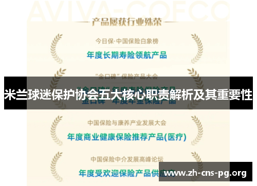 米兰球迷保护协会五大核心职责解析及其重要性