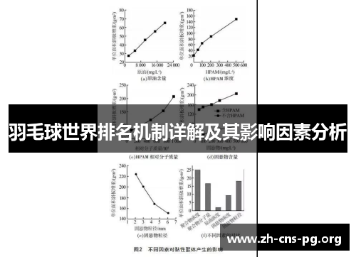 羽毛球世界排名机制详解及其影响因素分析 羽毛球世界排名机制详解及其影响因素分析