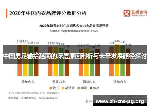 中国男足输给越南的深层原因剖析与未来发展路径探讨